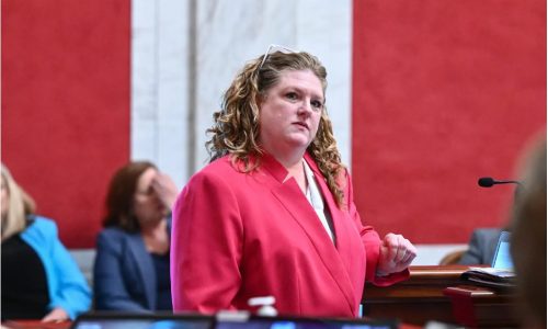 Janie Cole, commissioner of the Bureau for Family Assistance, briefs lawmakers last month on federal child care subsidies. Photo by Will Price, West Virginia Legislature
